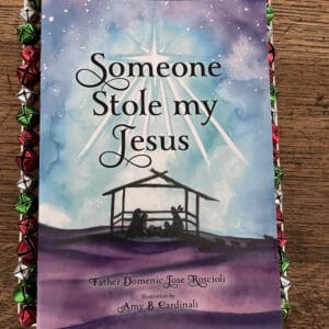 catholic childrens book, catholic kids book, someone stole my jesus